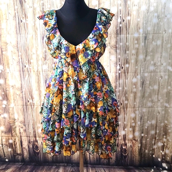 H&M Dresses & Skirts - H&M floral ruffle dress, garden collection